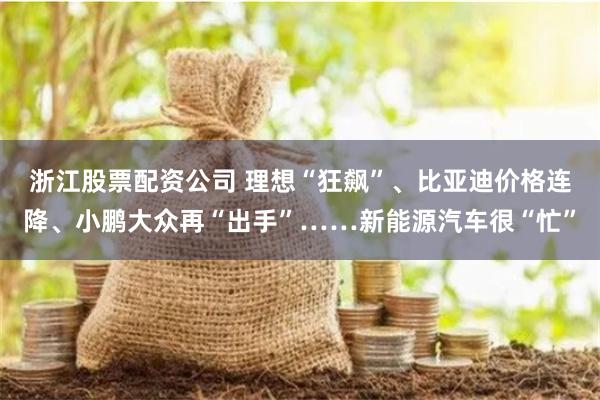 浙江股票配资公司 理想“狂飙”、比亚迪价格连降、小鹏大众再“出手”……新能源汽车很“忙”