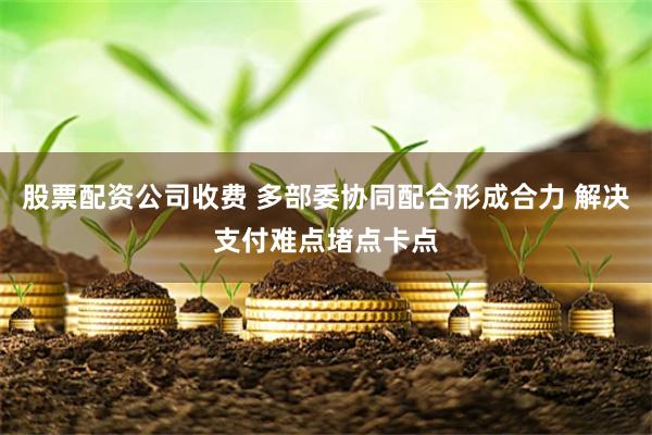 股票配资公司收费 多部委协同配合形成合力 解决支付难点堵点卡点